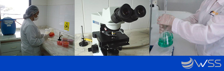 laboratorio-wss.jpg